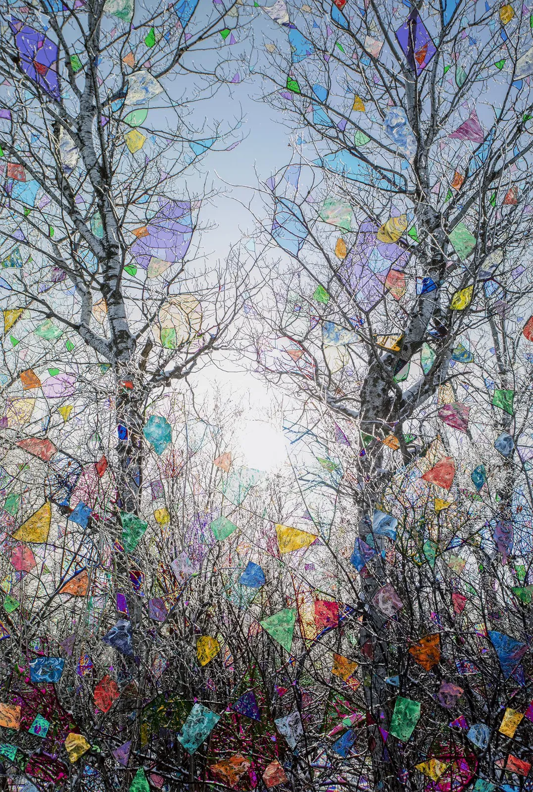 Sarah Anne Johnson, WQB, 2021