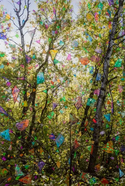 Sarah Anne Johnson, SIFF1, 2023