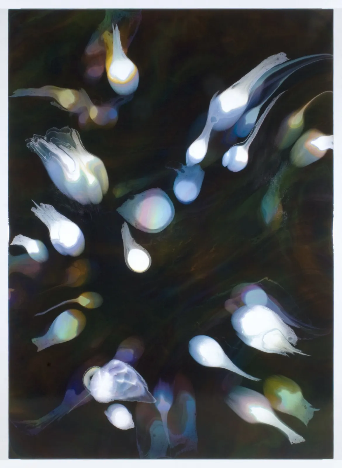 François Lacasse, Grande échappée XIV, 2020