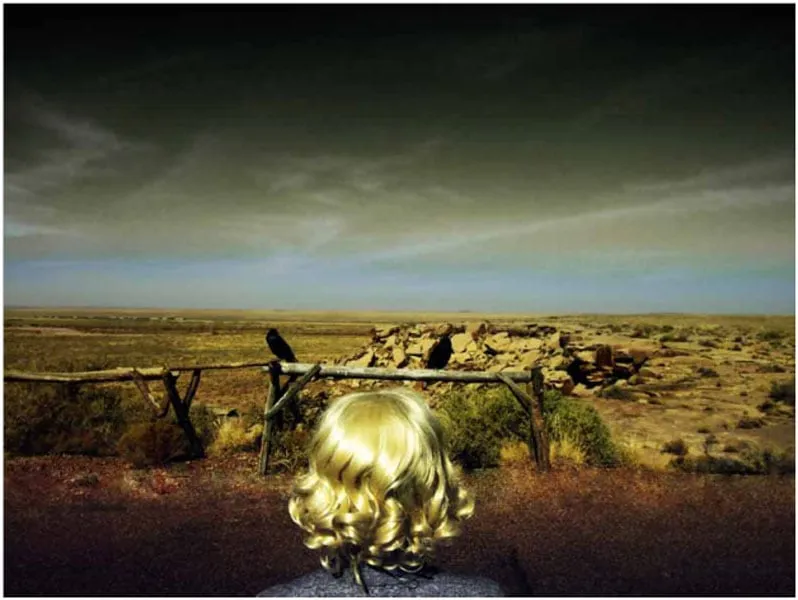 Bonnie Baxter, Southwest I, 2008