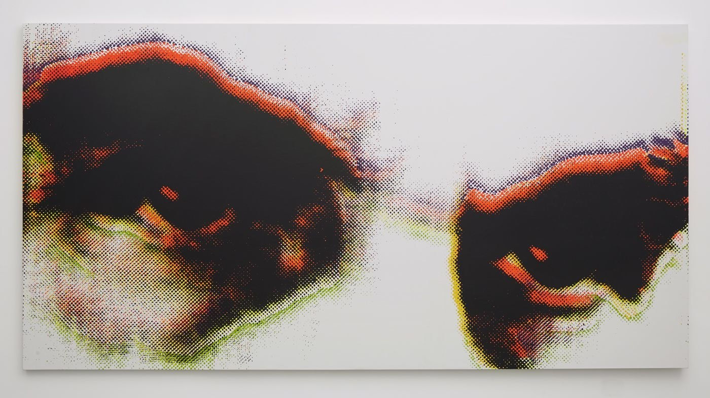 Andisheh Avini, Untitled, 2013