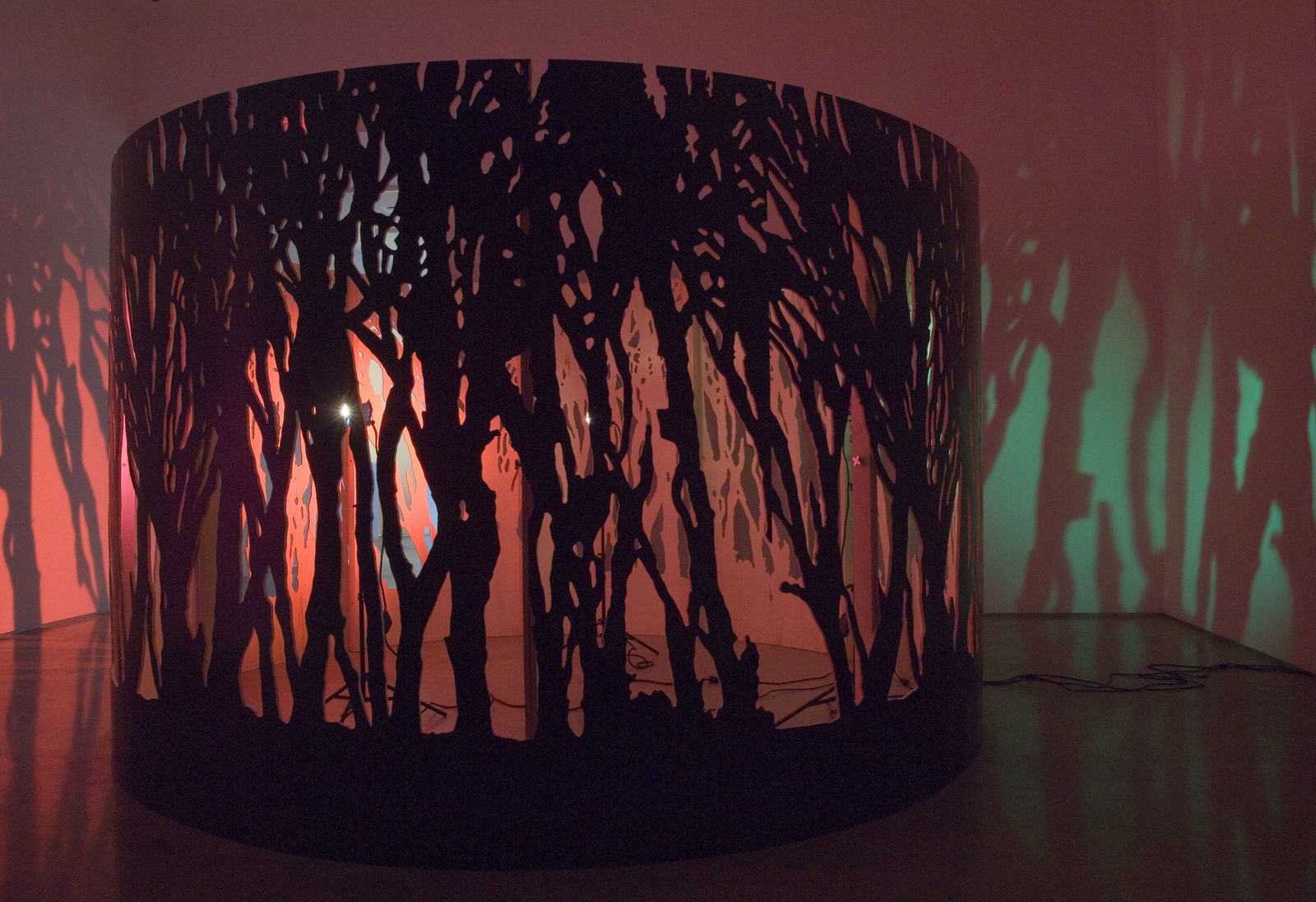 Sue de Beer, Ring of Trees (from The Quickening), 2006