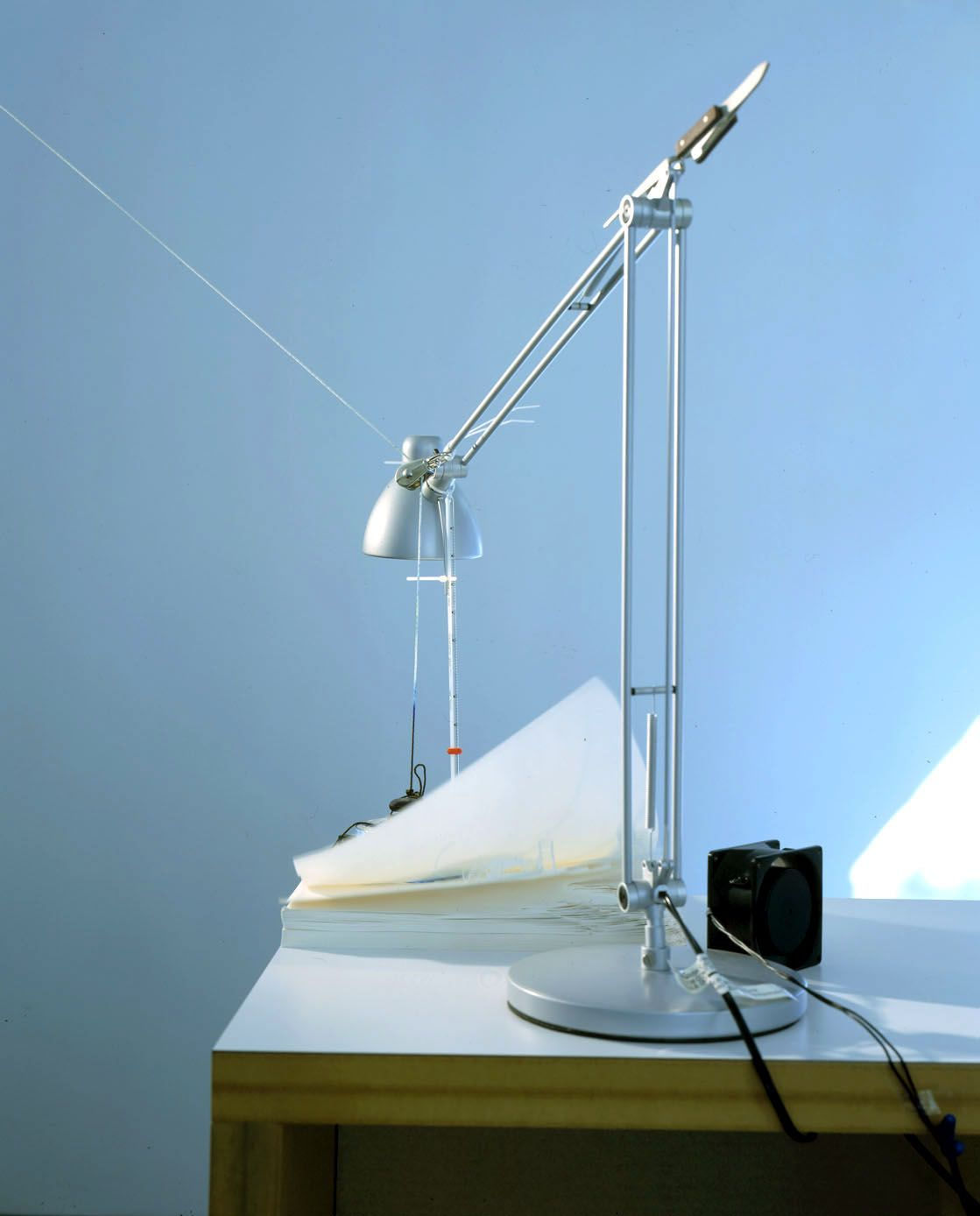 Sarah Sze, Grow or Die, 2002