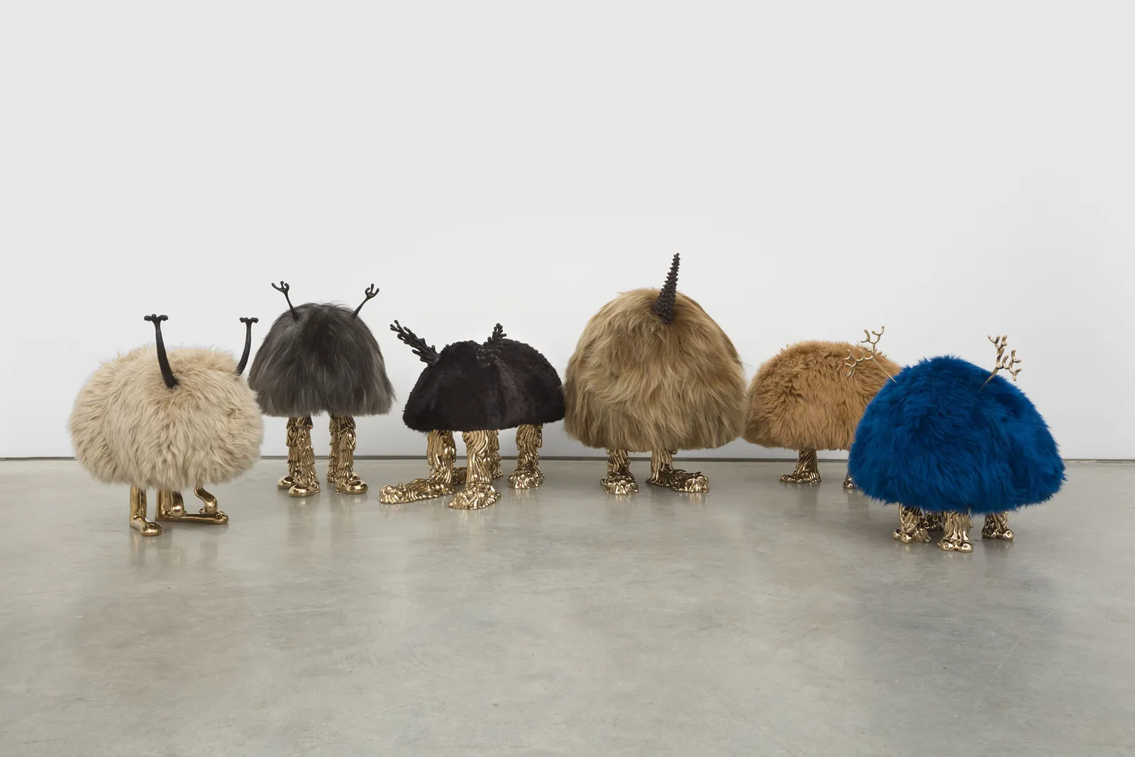 The Haas Brothers, Oedipus Rex, 2019