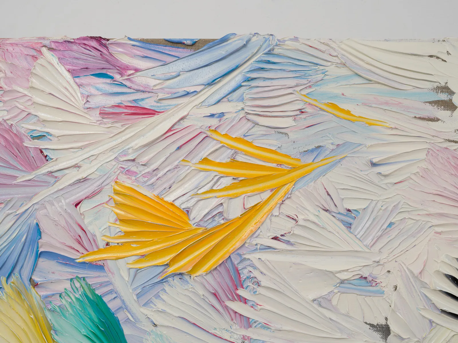 Dashiell Manley, murmurs of pleasant nights, 2024