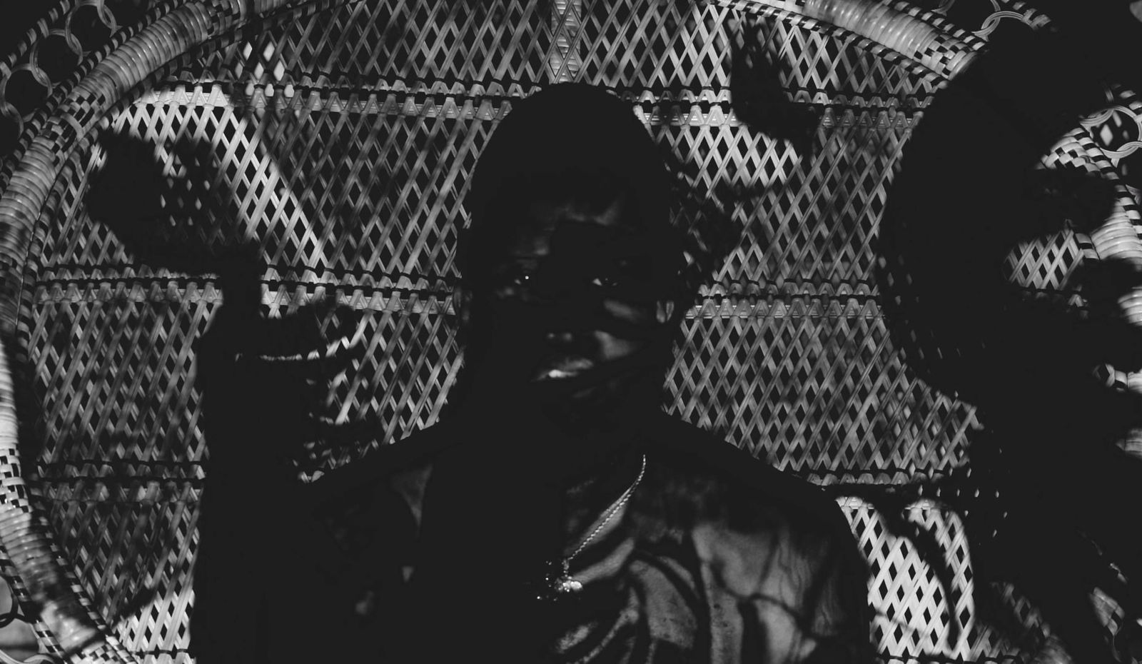 Jammie Holmes, Zebra, 2022