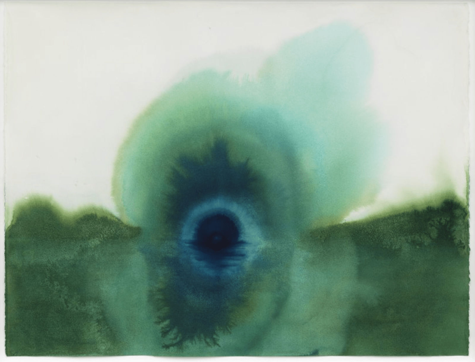 Thiago Rocha Pitta, the lake at the eye of narcissus, 2018