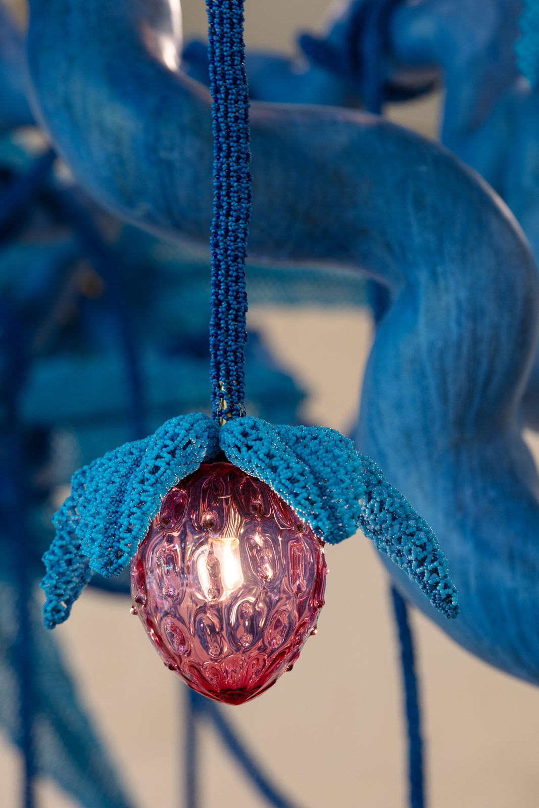 The Haas Brothers, The Strawberry Tree, 2023