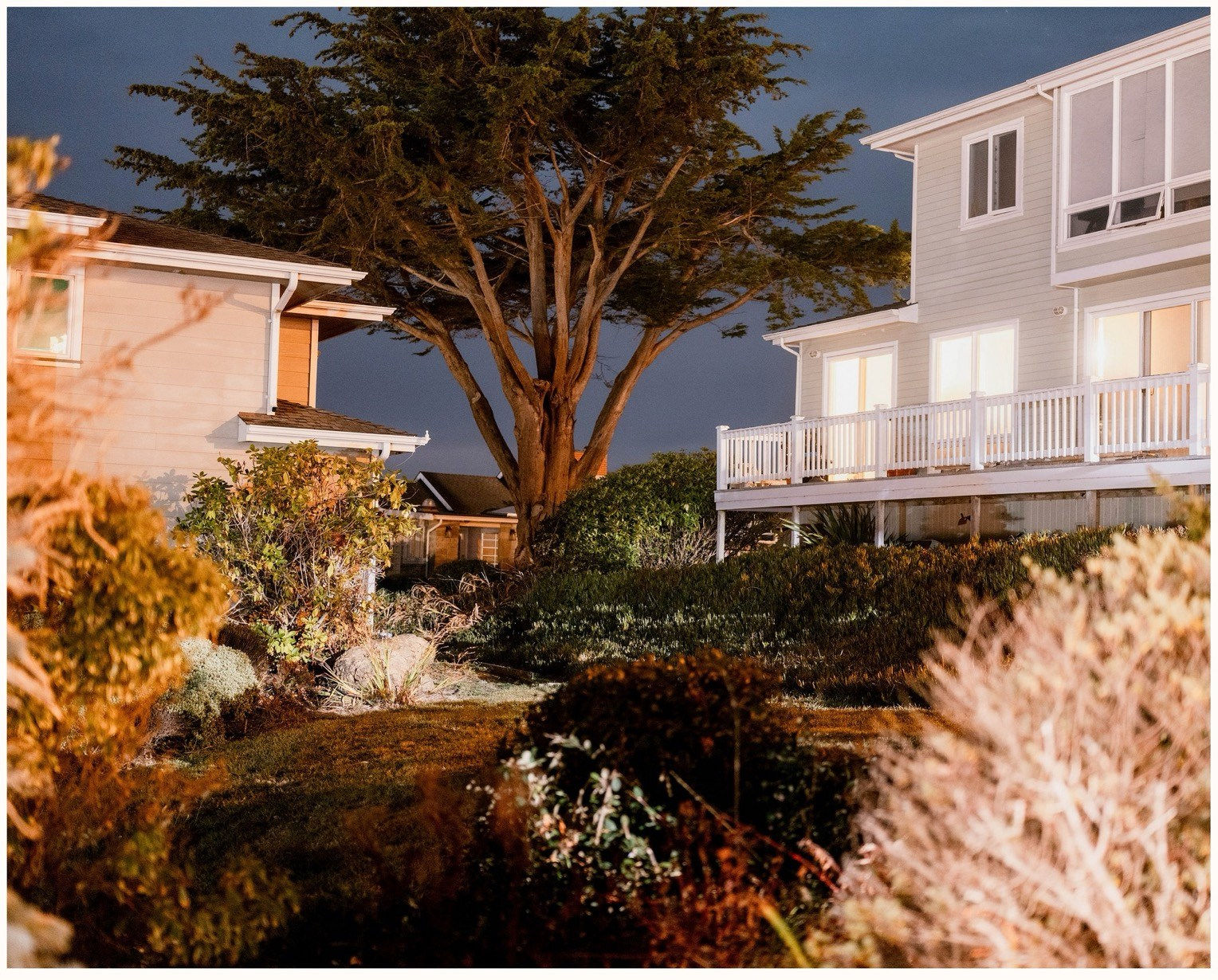 Brian Van Lau, Trinity, 2024