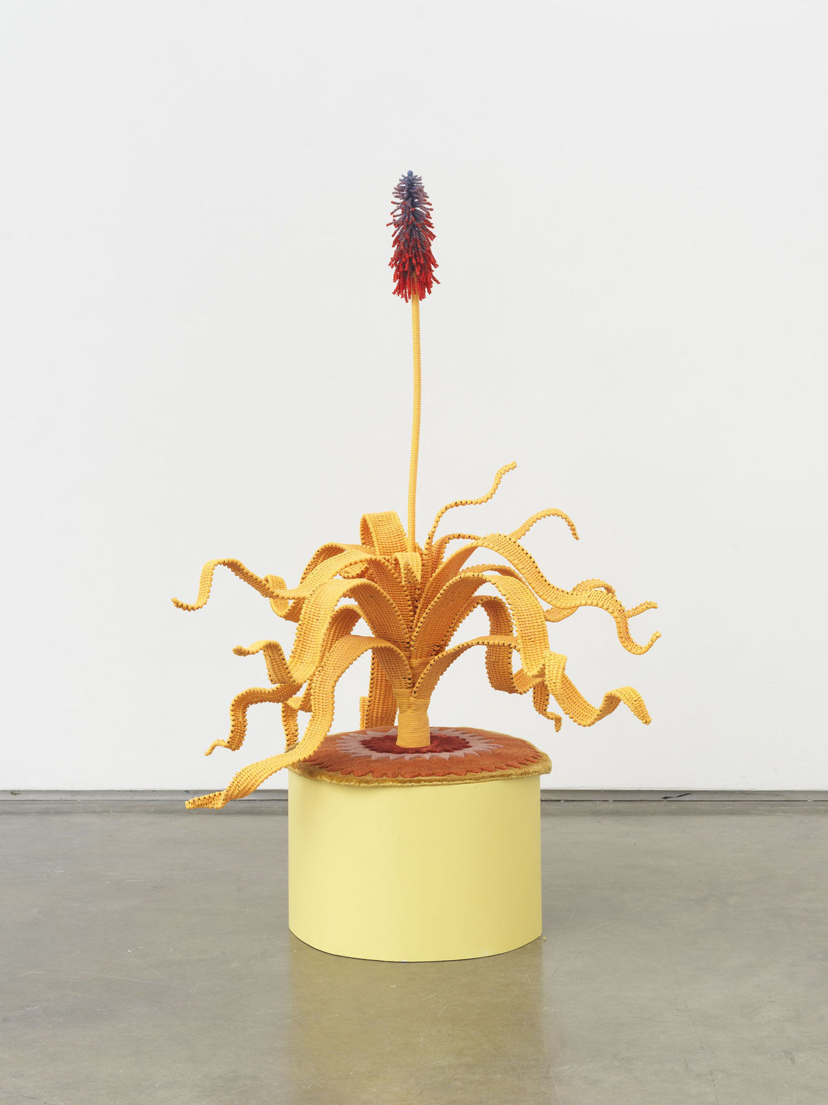 The Haas Brothers, Aloe, Dolly, 2019