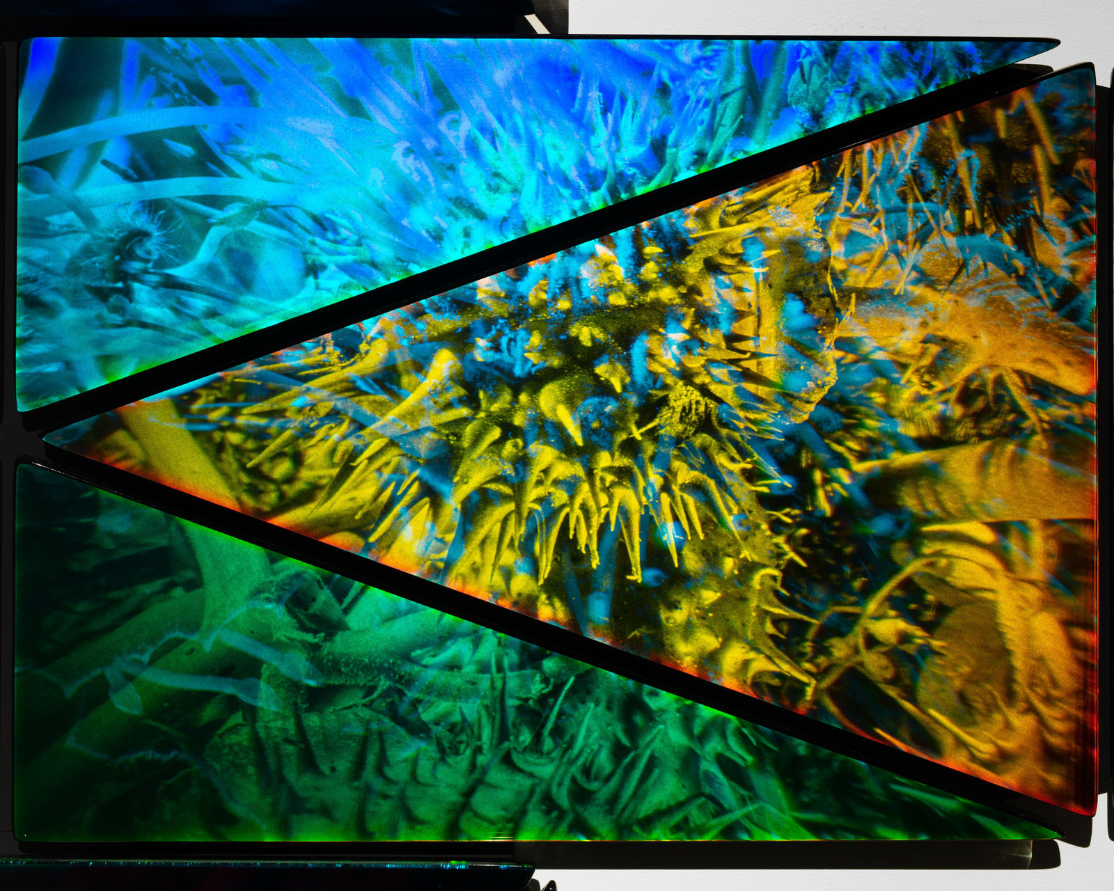 Sarah Meyohas, Interference #13, 2022