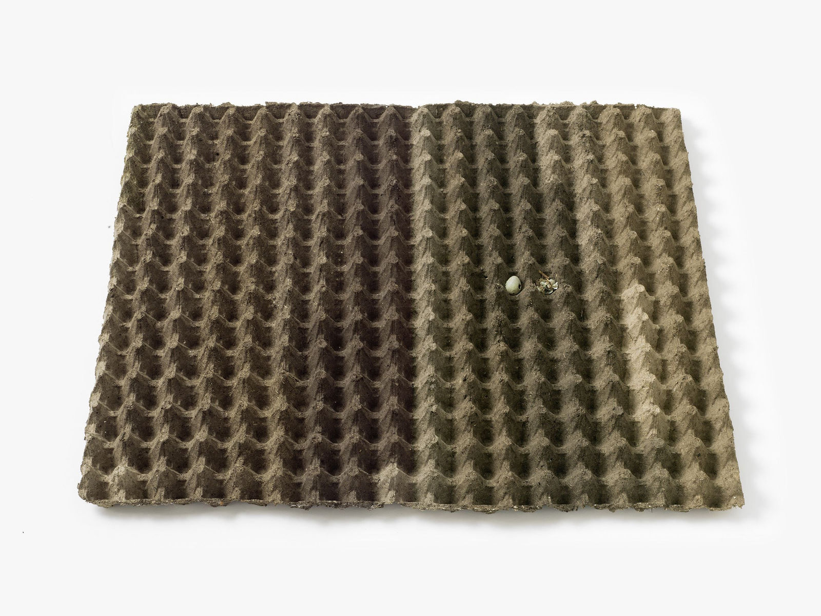 Björn Braun, 13 : 2 : 1, 2015