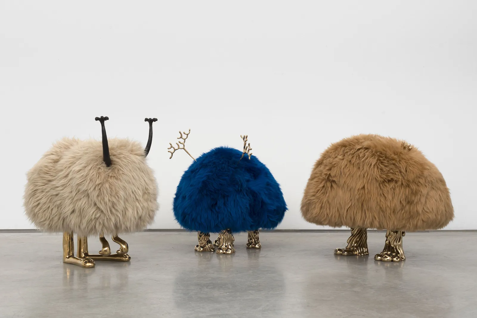 The Haas Brothers, Oedipus Rex, 2019