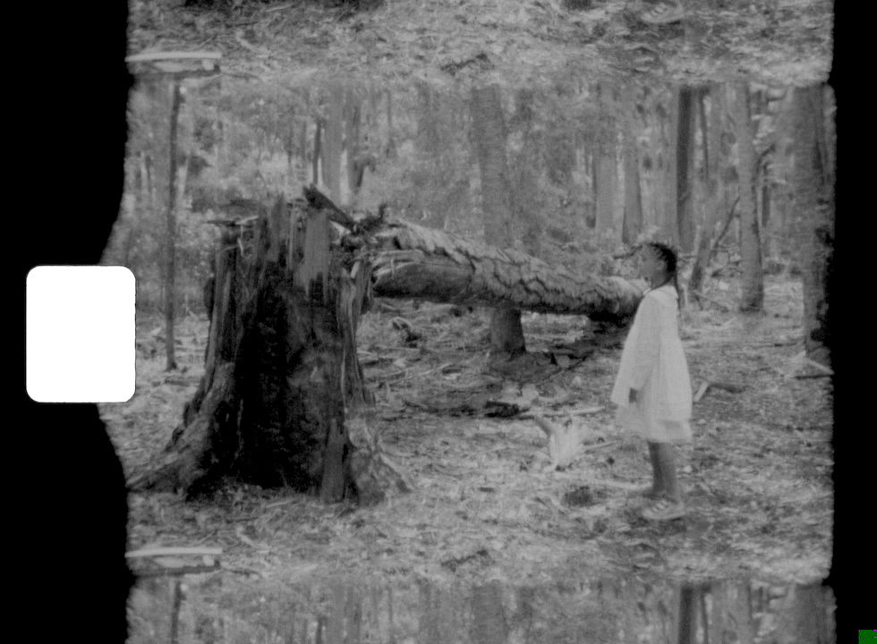 Allison Janae Hamilton, Wakulla Cathedral, 2019