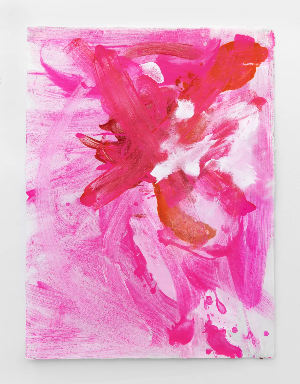 Suzanne McClelland, Internal Affairs: 7 FBI Domestic Terrorist Files: Domestic Terrorist: Borup Portfolio 1 of 7, 2015