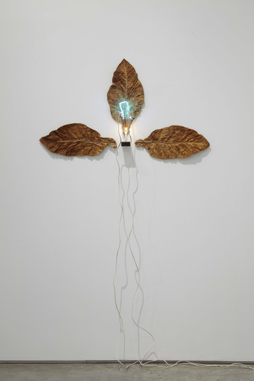 Pier Paolo Calzolari, Untitled (Occhio di Dio), 1971