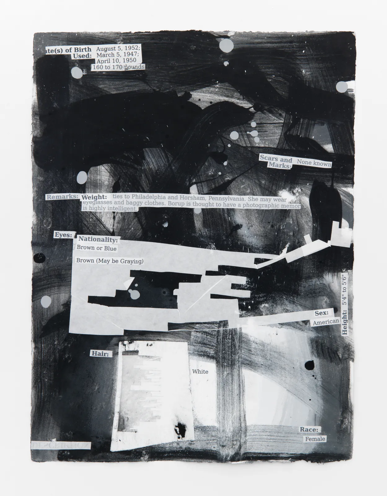 Suzanne McClelland, Internal Affairs: 7 FBI Domestic Terrorist Files: Domestic Terrorist: Borup Portfolio 1 of 7, 2015