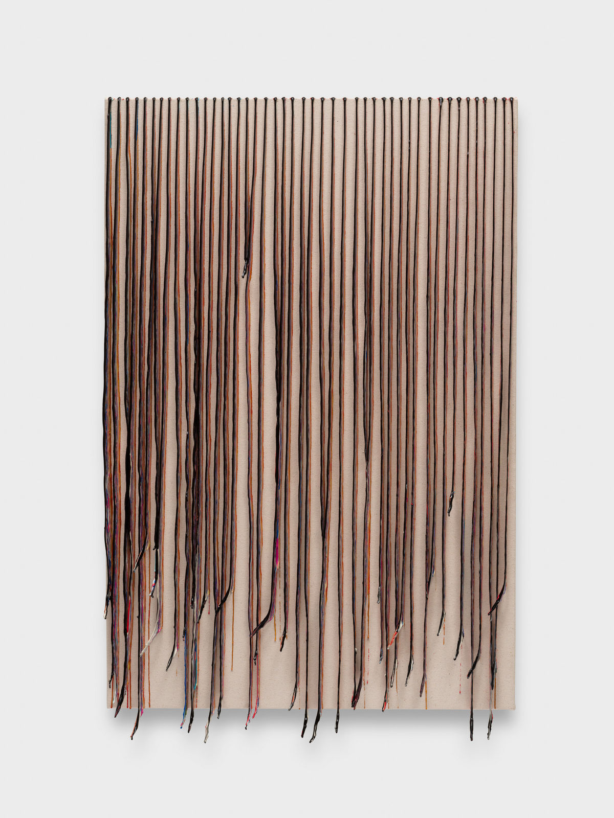 The Haas Brothers, Wind, 2024