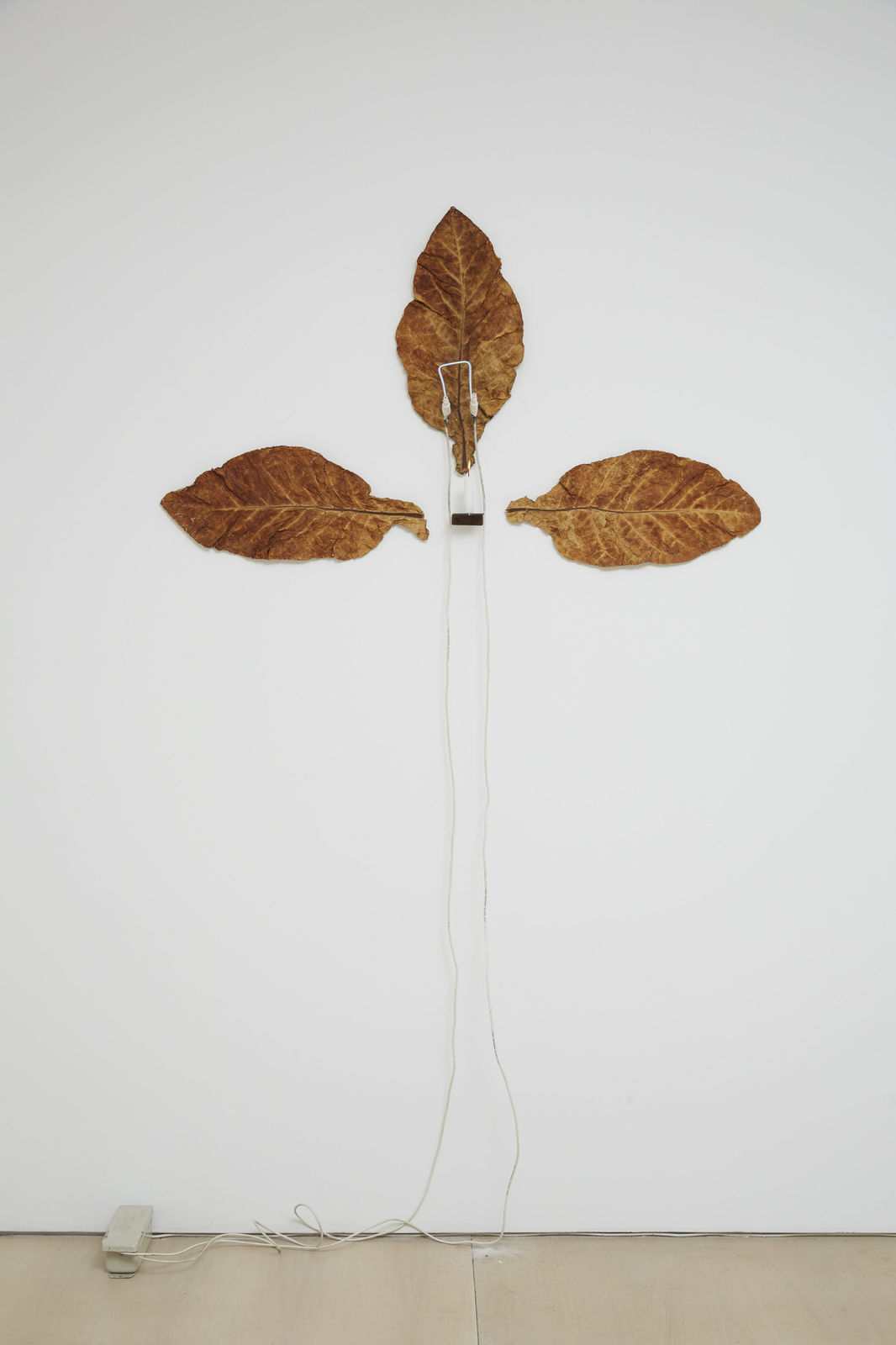 Pier Paolo Calzolari, Untitled (Occhio di Dio), 1971