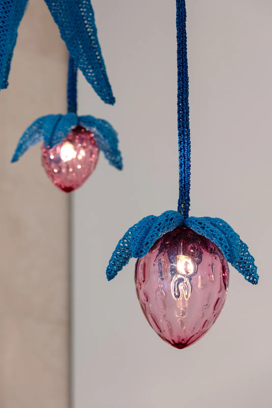 The Haas Brothers, The Strawberry Tree, 2024