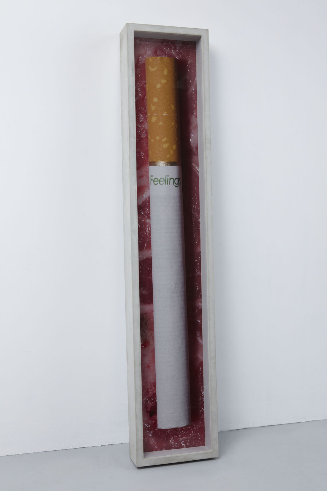 Adam McEwen, One Feeling (Steak), 2010