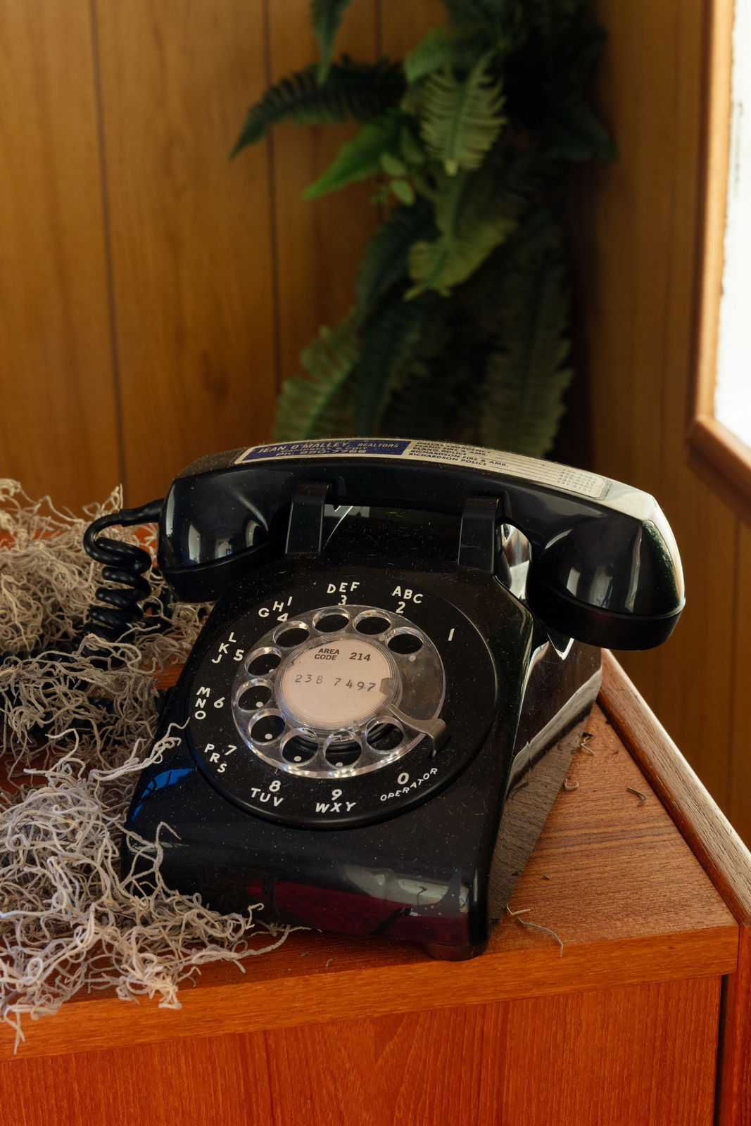 Jammie Holmes, Church in the Wild, 2023