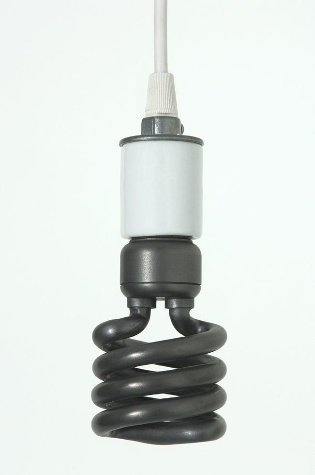 Adam McEwen, Energy Saving Bulb, 2010