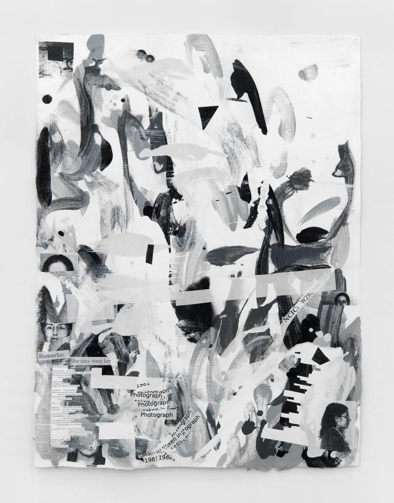 Suzanne McClelland, Internal Affairs: 7 FBI Domestic Terrorist Files: Domestic Terrorist: Borup Portfolio 1 of 7, 2015