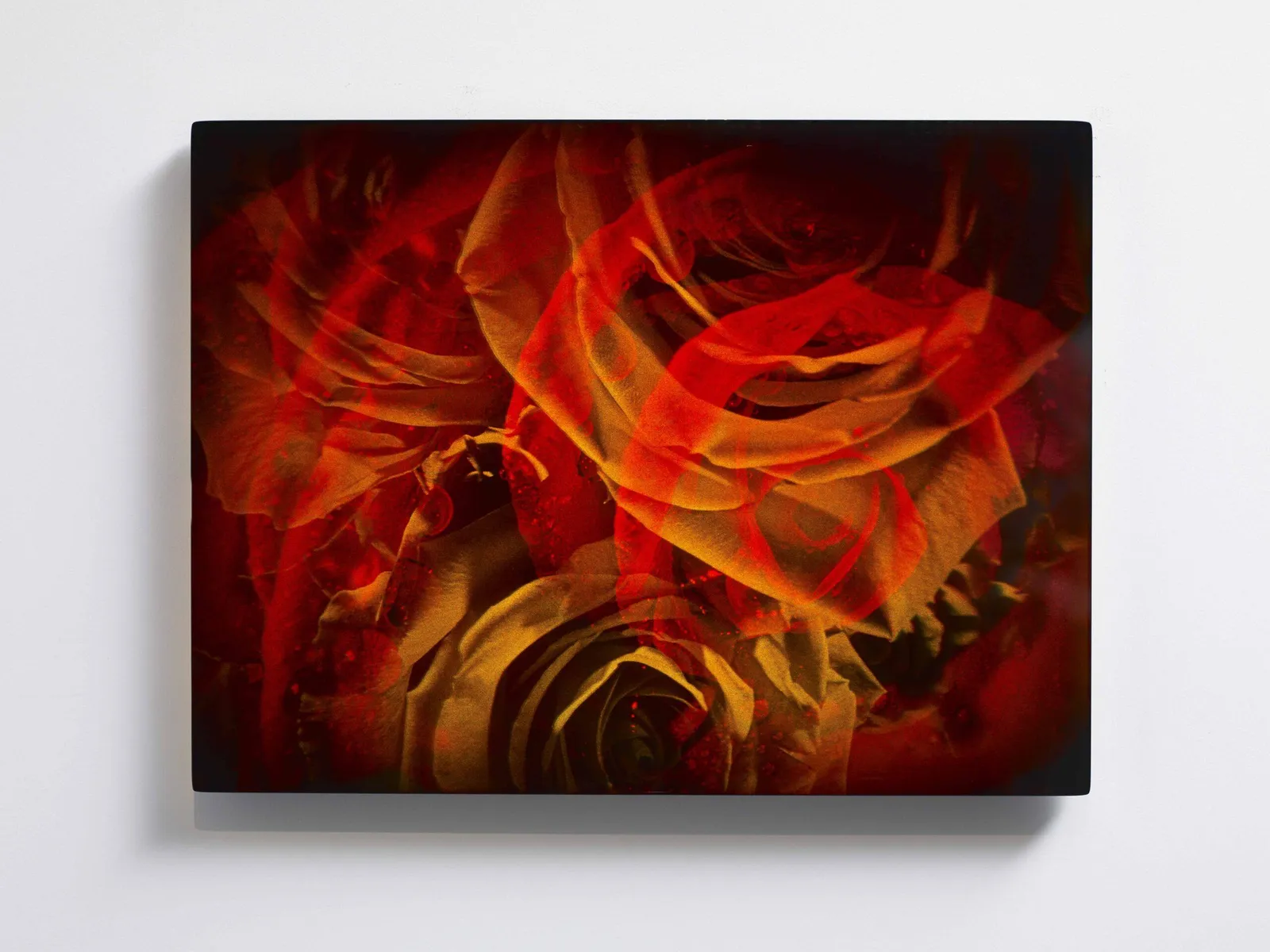 Sarah Meyohas, Interference #6, 2021