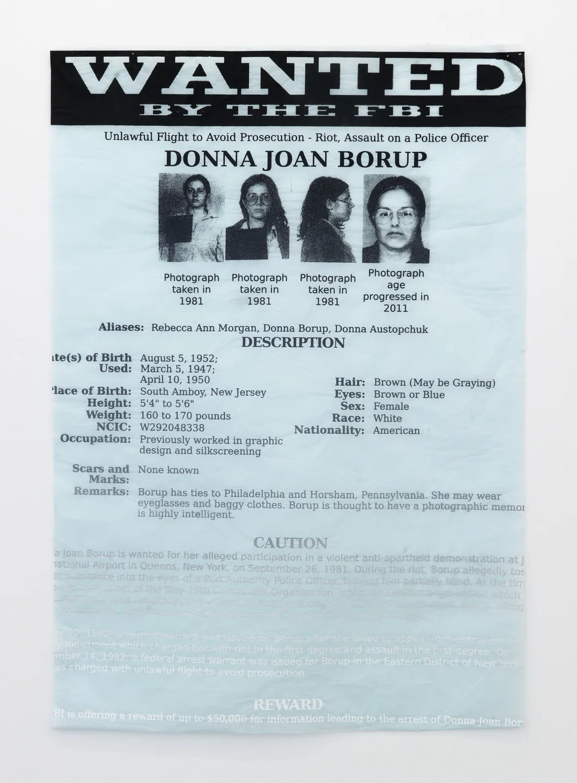 Suzanne McClelland, Internal Affairs: 7 FBI Domestic Terrorist Files: Domestic Terrorist: Borup Portfolio 1 of 7, 2015