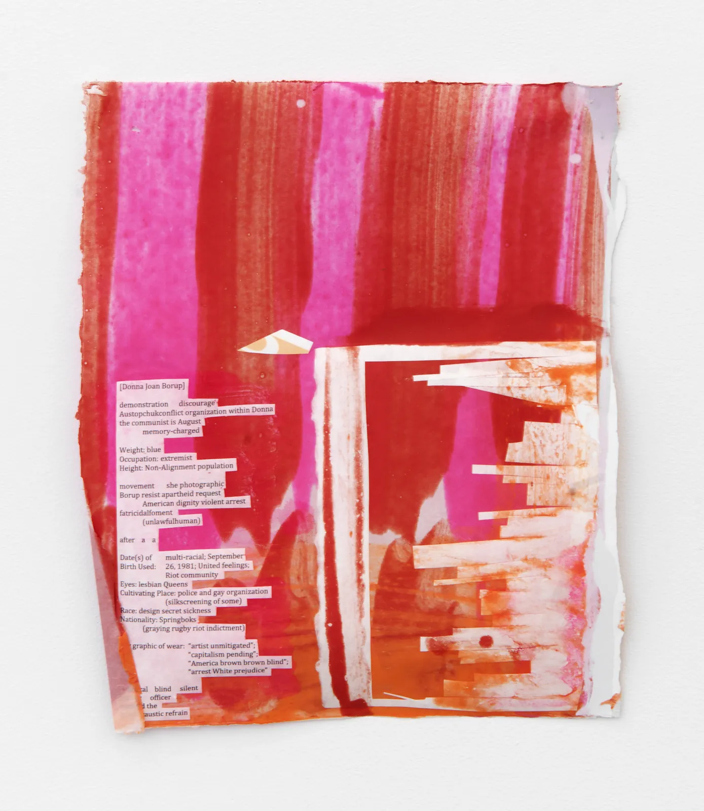 Suzanne McClelland, Internal Affairs: 7 FBI Domestic Terrorist Files: Domestic Terrorist: Borup Portfolio 1 of 7, 2015