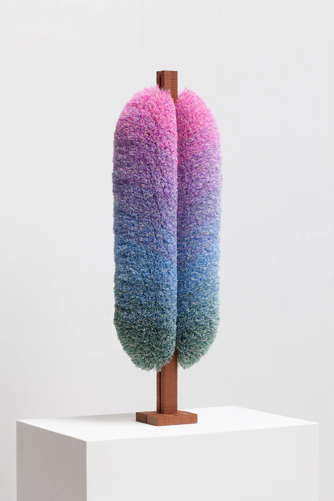 Will Cruickshank, Spectrum No.2, 2022