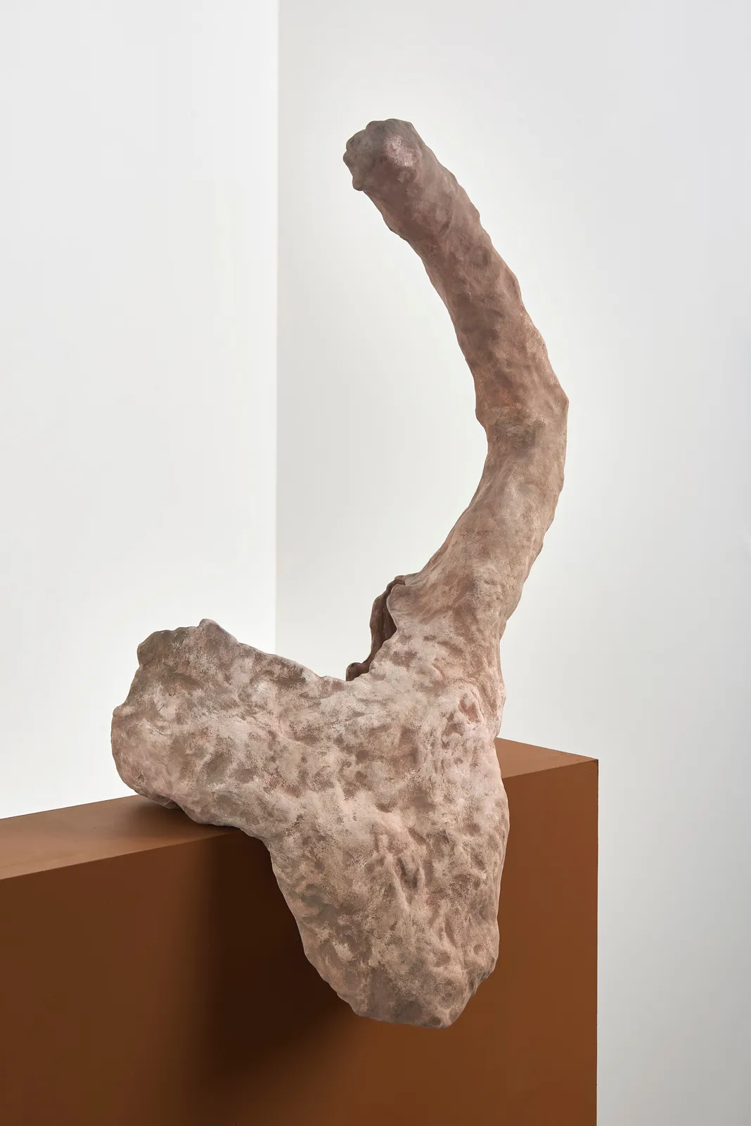 Katie Cuddon, Memory of a Spanish Lobe, 2021