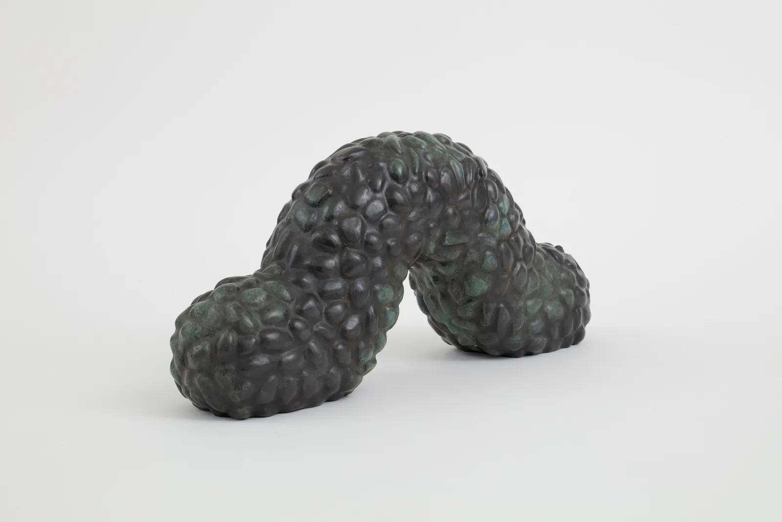 Adeline de Monseignat, Gusano, 2025