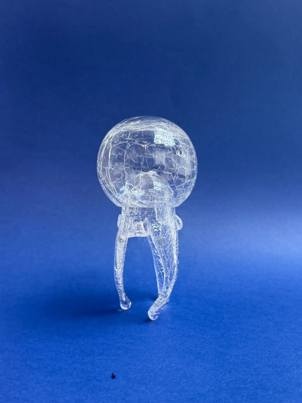 Nika Neelova, Medusa, 2025