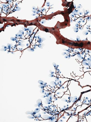 Jackie Battenfield, Aria cs2, 2023