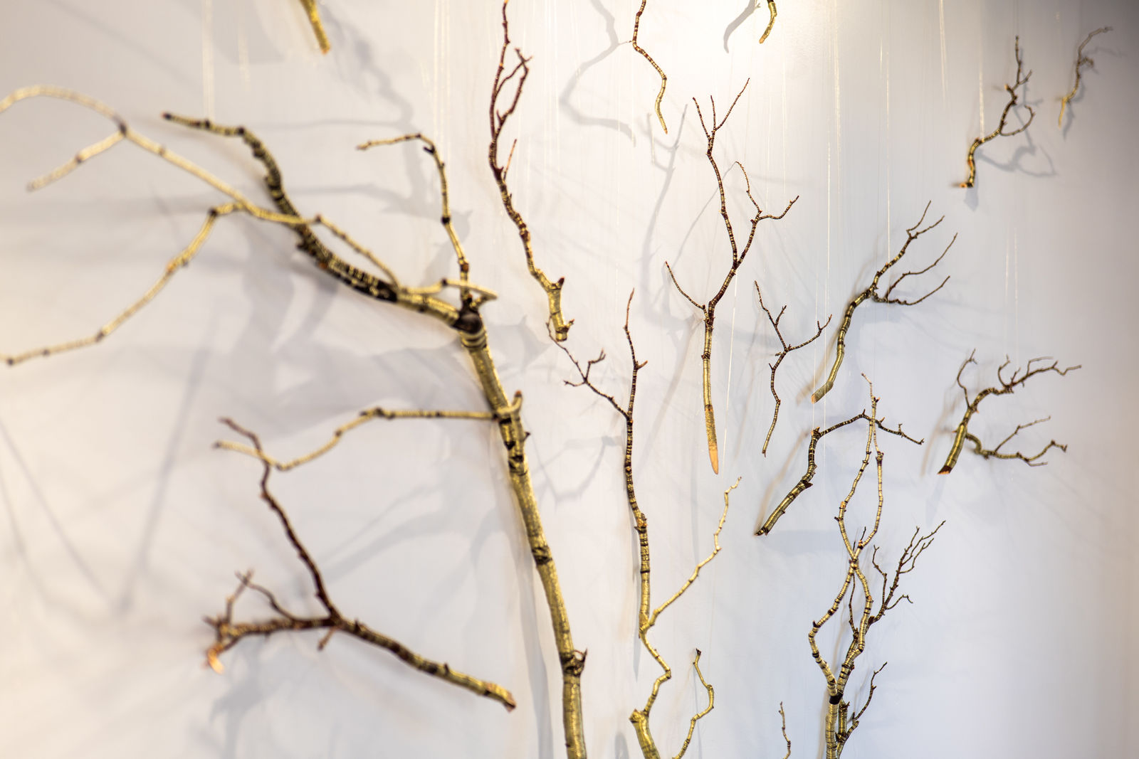 Peter Cochrane, A Continuum, 2025