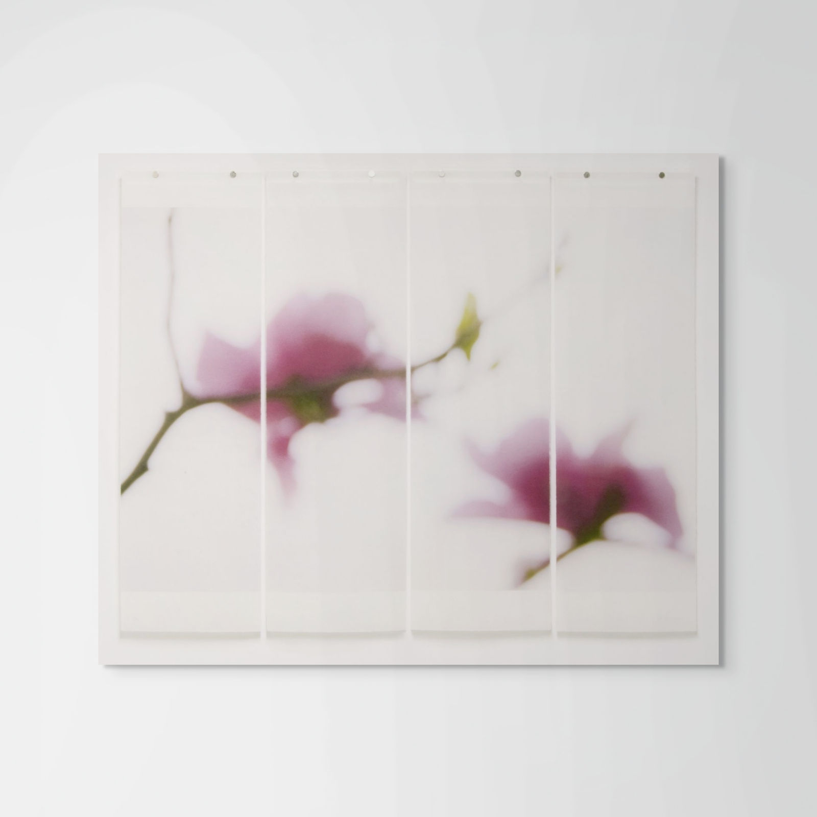 Jeri Eisenberg, Magnolia No.11, 2018