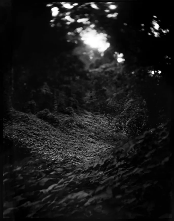 Emily White, Goshen, 2021