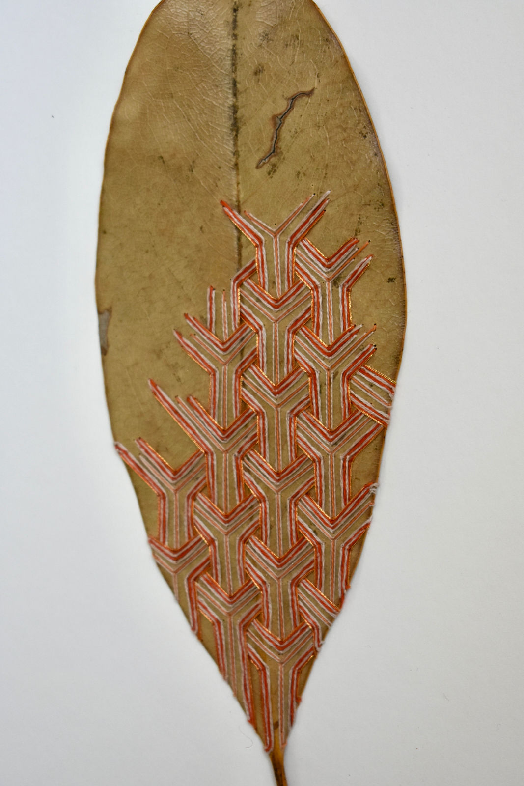 Hillary Waters Fayle, Pattern Overlays ii, 2022