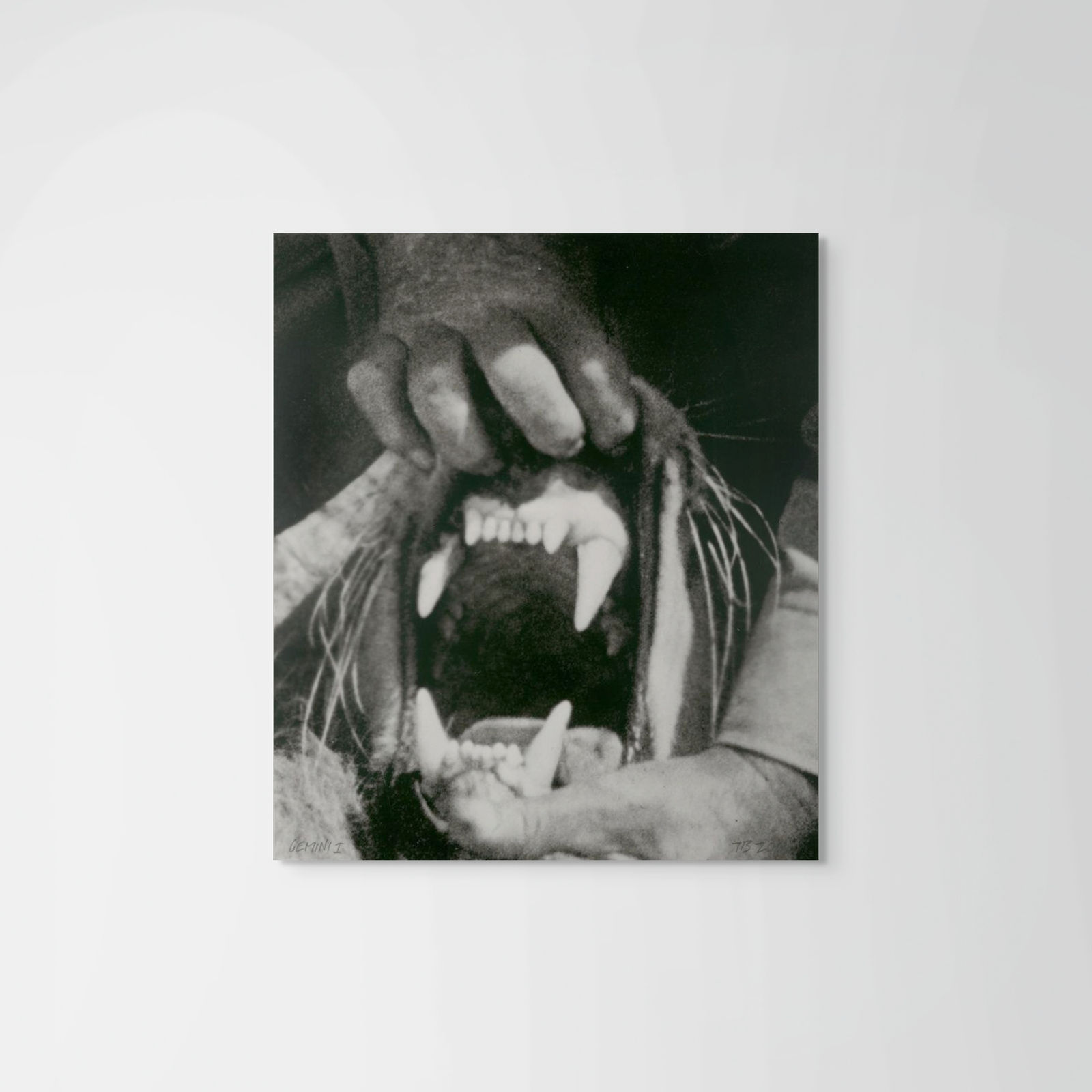 John Baldessari, Hands & Feet: Hands. Tiger & Teeth, 2017