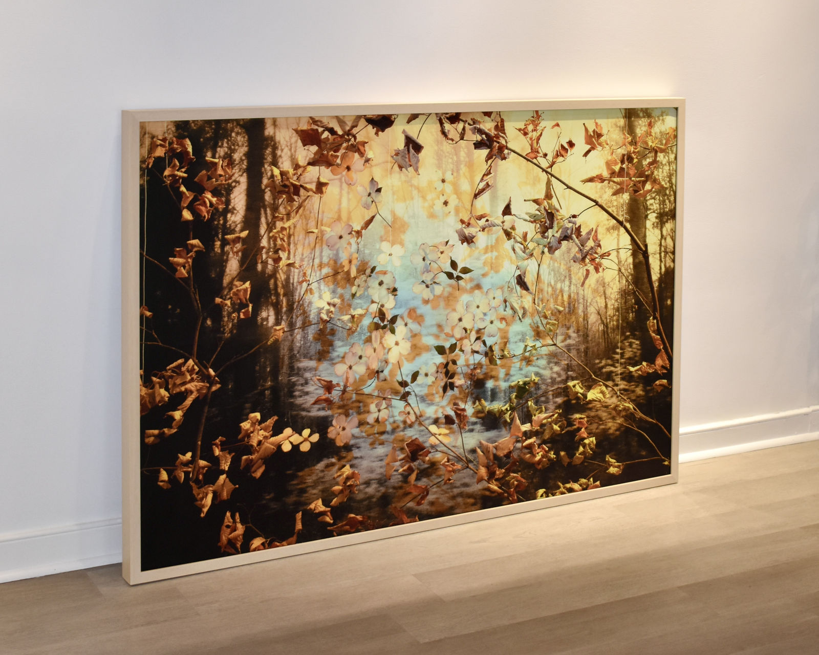 Peter Cochrane, The State Flower of Virginia is Actually a Tree, 2025