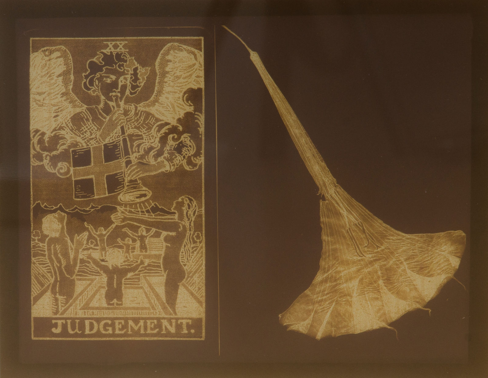 Willie Anne Wright, Angel's Trumpet, 2014