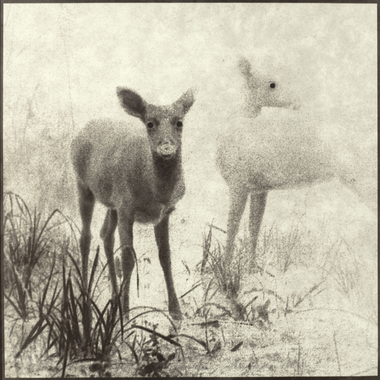 Alyssa Salomon, EK000183 2015-11-30 JRP, 2017