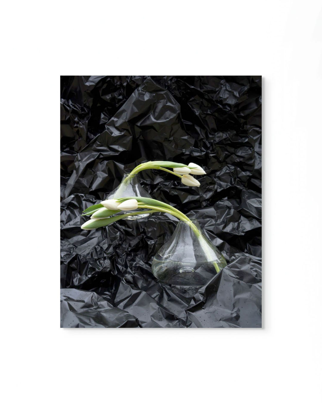 Peter Cochrane, For Catherine, 2019