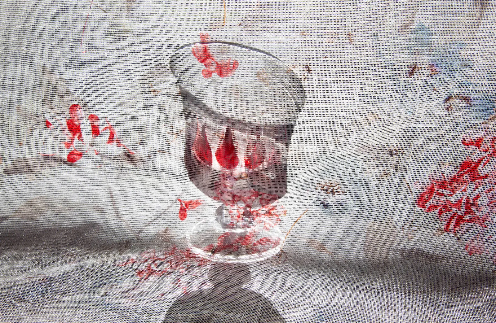 Pam Fox, Red Cup Two, 2018