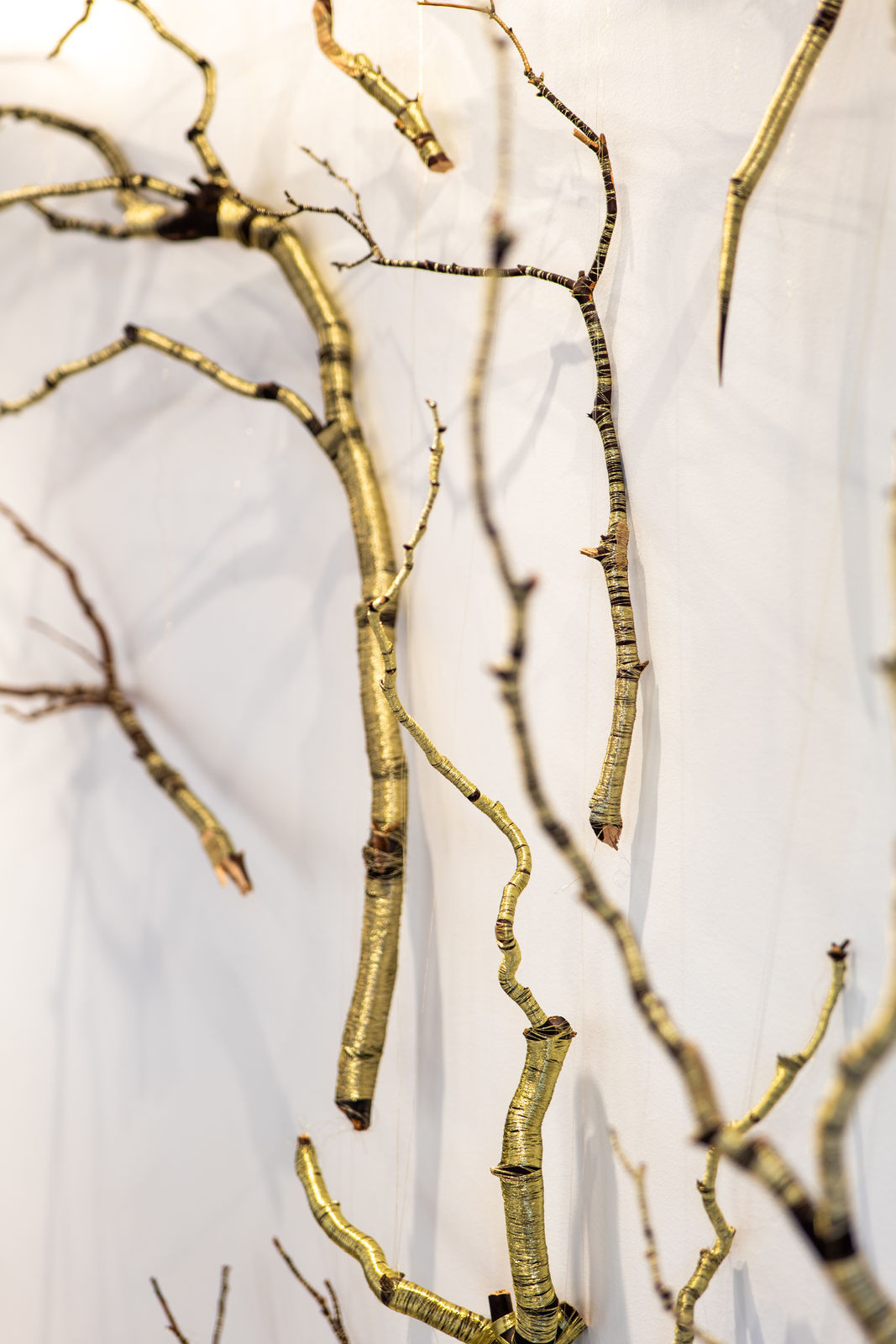 Peter Cochrane, A Continuum, 2025