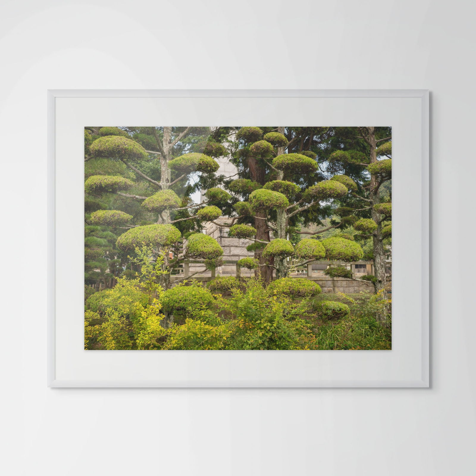 William Wylie, Shikoku 17-64, 2024