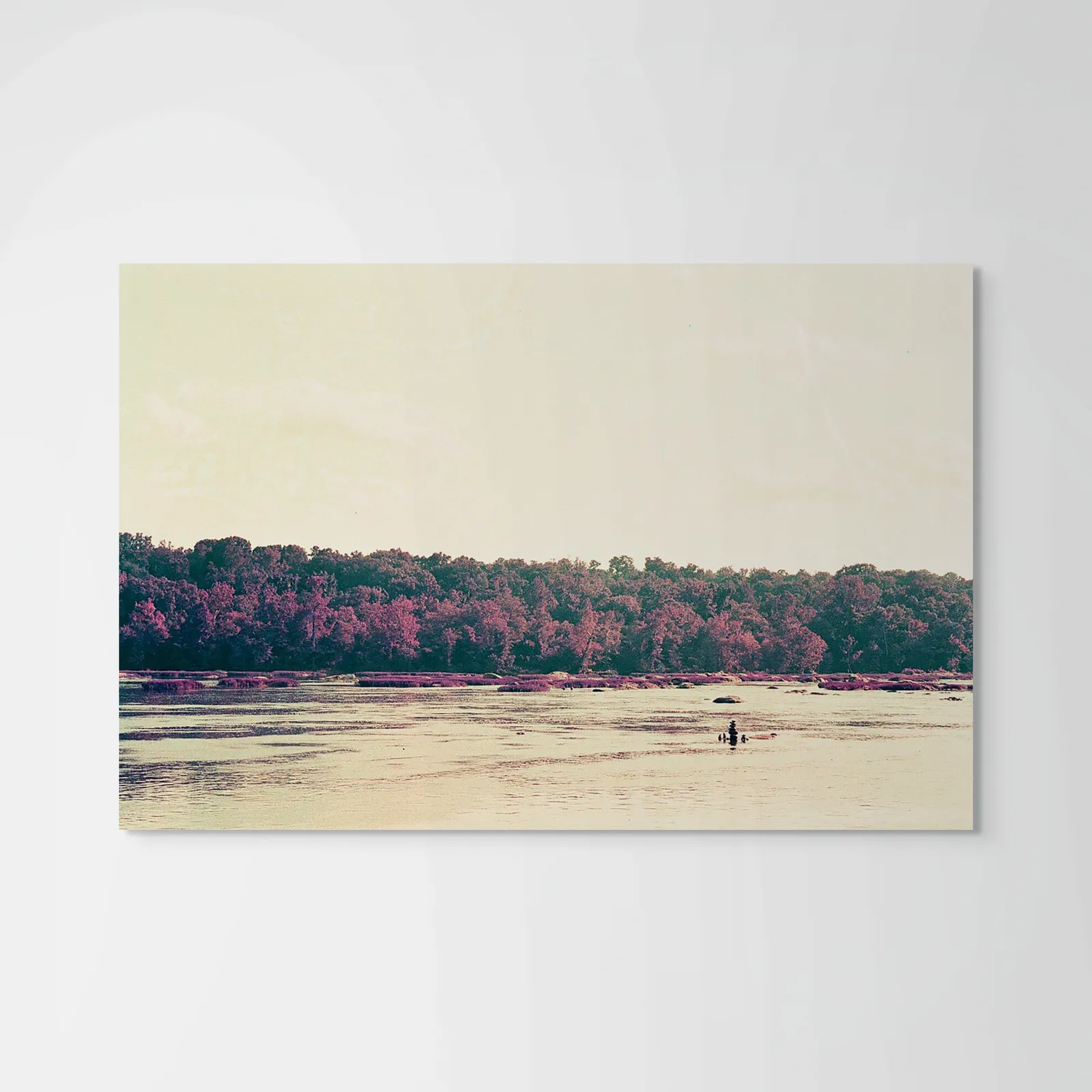 Cate Duckwall, Wetlands 2, 2023