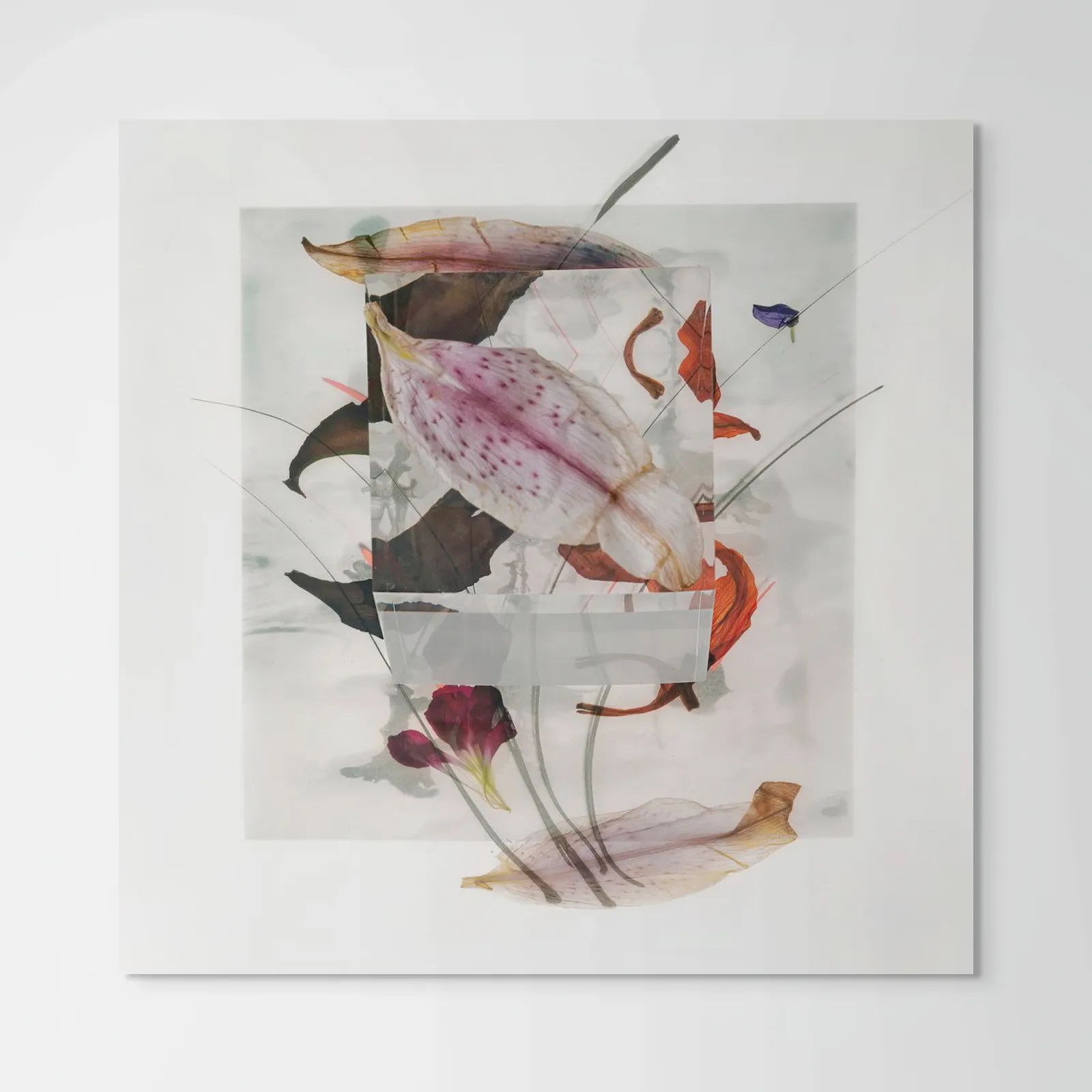 John Grant, Abstract Views 8, 2023